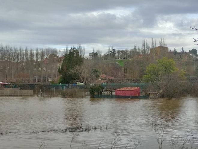 GALERÍA / El río Órbigo desbordado en Benavente, en imágenes GALERÍA / El río Órbigo desbordado en Benavente, en imágenes