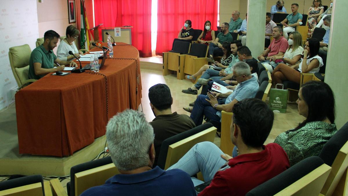 Asamblea de la Mancomunidad de la Campiña Sur.