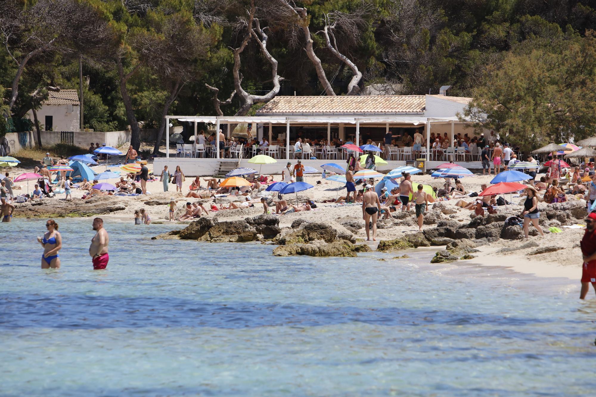 Wie im Hochsommer. So vergnügen sich schon jetzt die Urlauber an der Cala Agulla bei Cala Ratjada