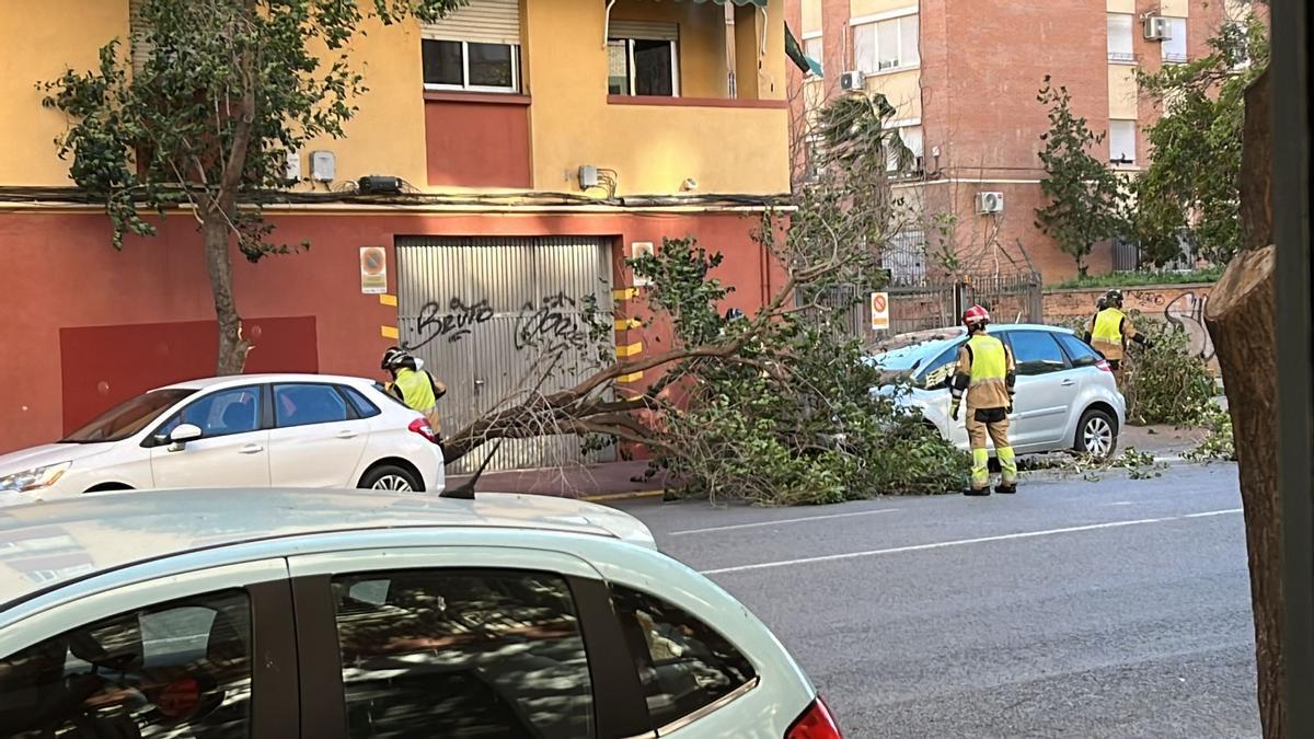 Un árbol cae entre dos coches en la calle Rubén Darío, Infante.
