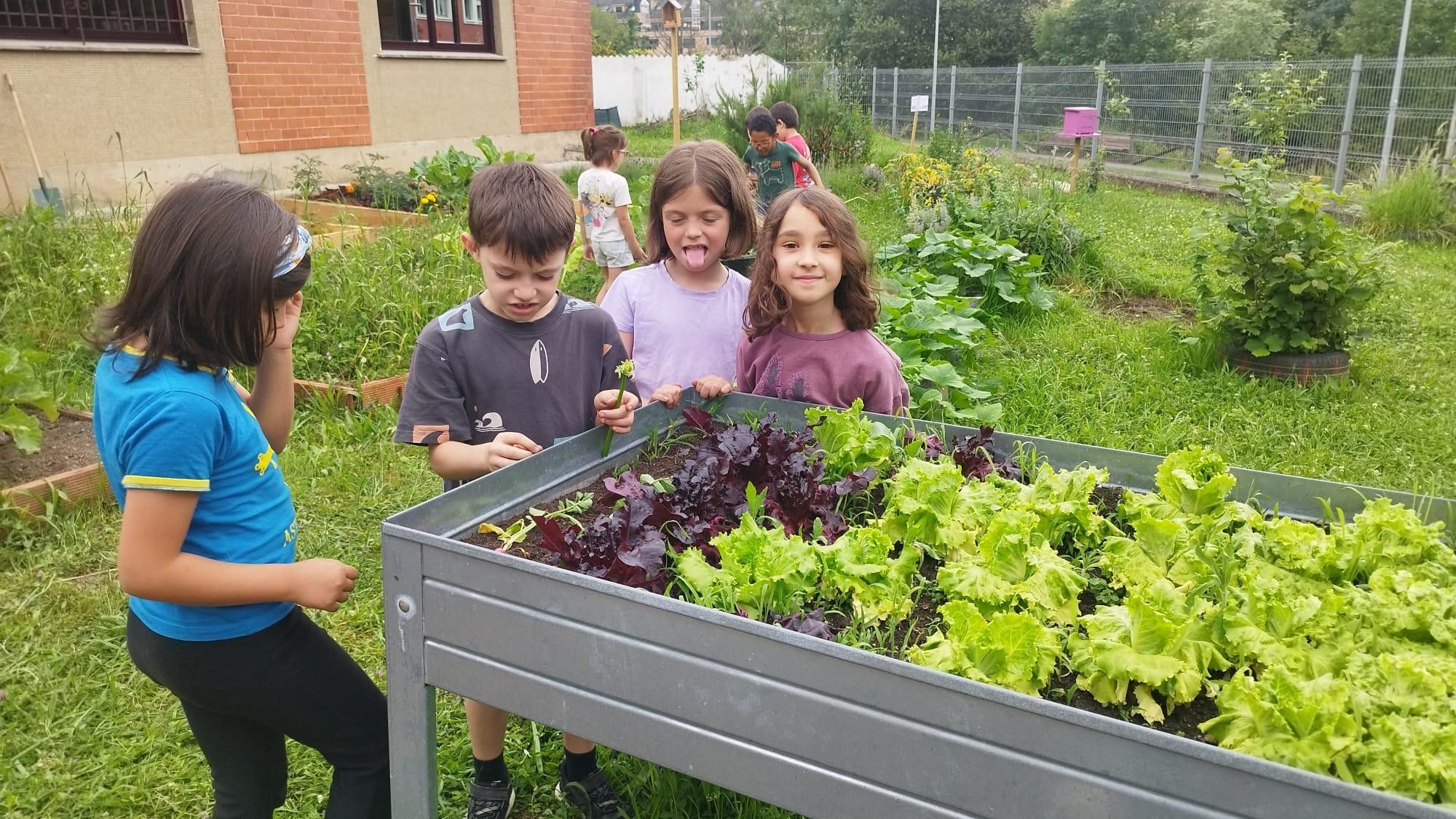 Medalla de Innovación para el huerto escolar del CEIP L'Ablanu de Infiesto