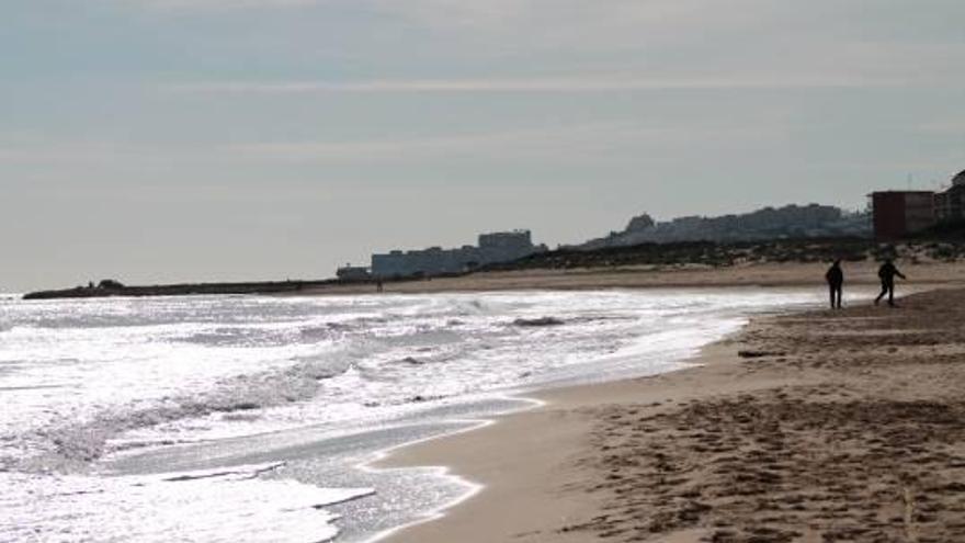 Más de 1.300 vecinos reclaman un tramo de playa con acceso a mascotas