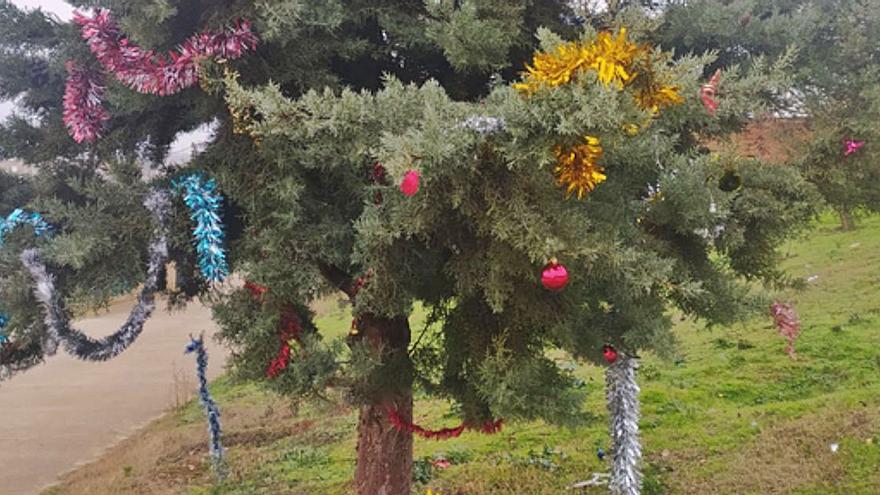 Llamativas luces de Navidad engalanan las viviendas en Manganeses y los niños adornan un árbol