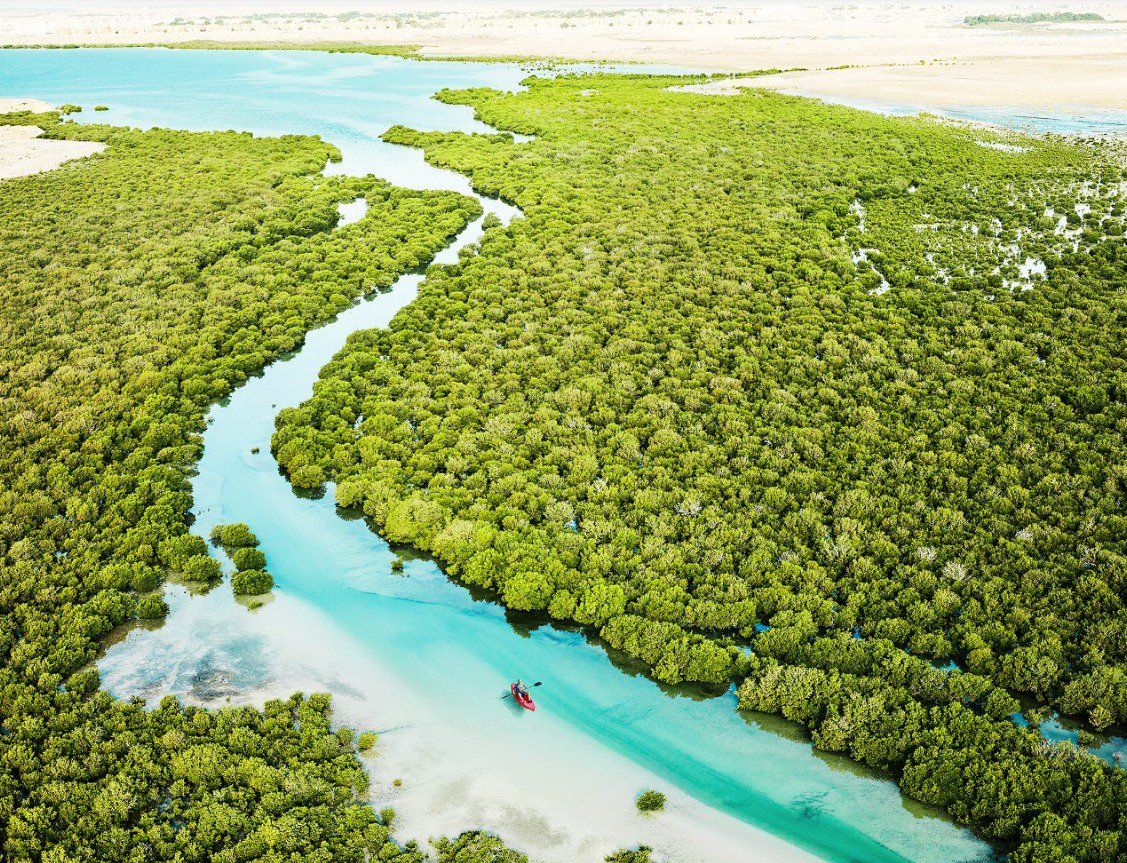 Isla Púrpura en Qatar