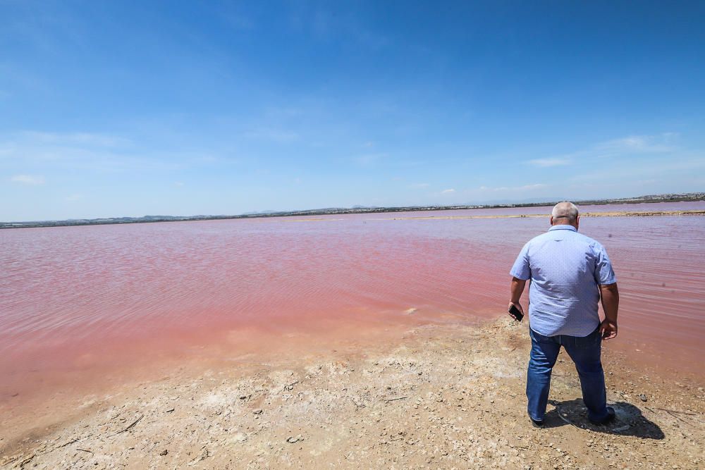 Las orillas de la laguna de Torrevieja han perdido su característica lámina de sal en algunas zonas inundadas por las lluvias de abril