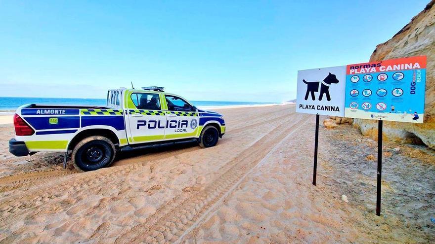 El único lugar de Matalascañas donde puedes llevar a tu perro: dónde está la playa y qué normas debes cumplir