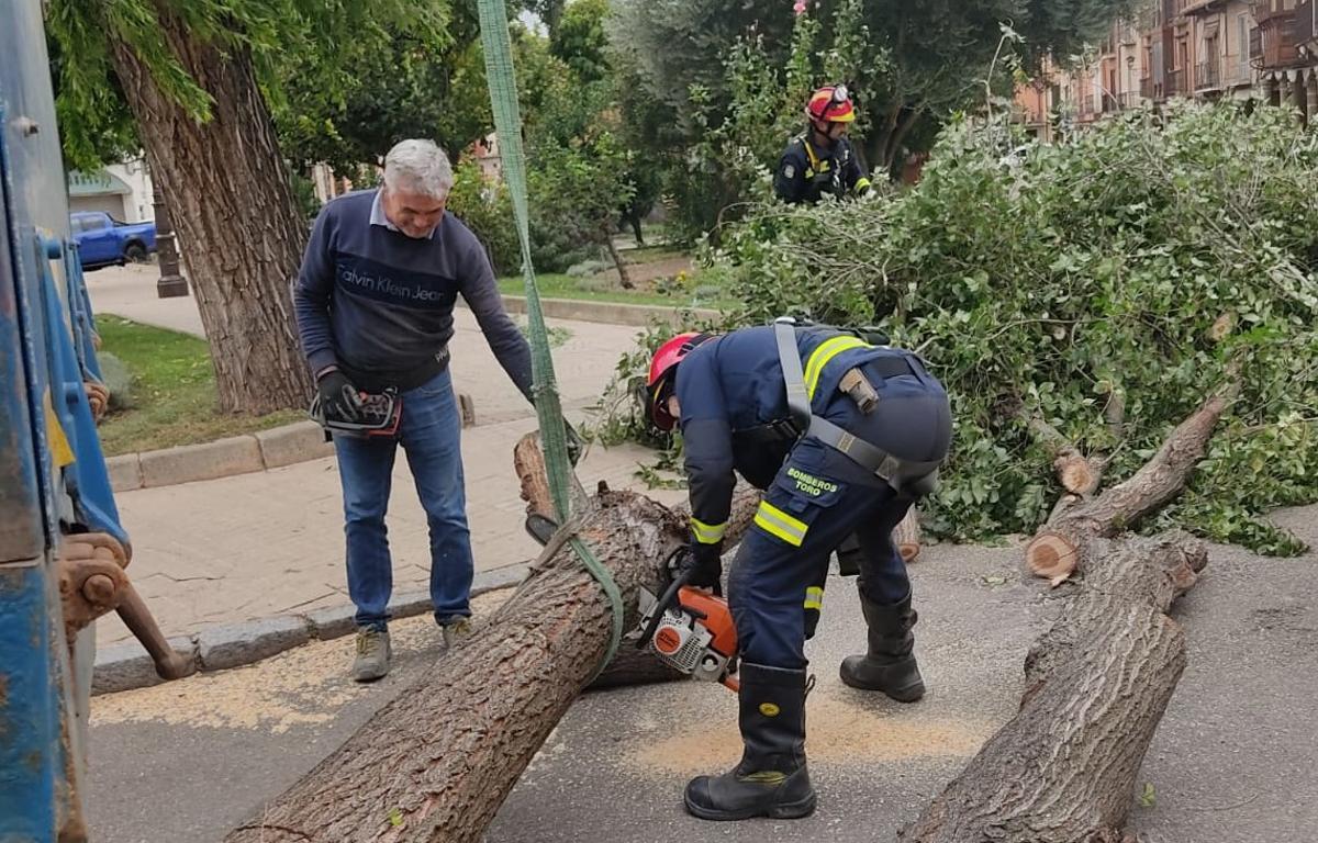 Dos bomberos cortan el tronco y las ramas del árbol en Santa Marina