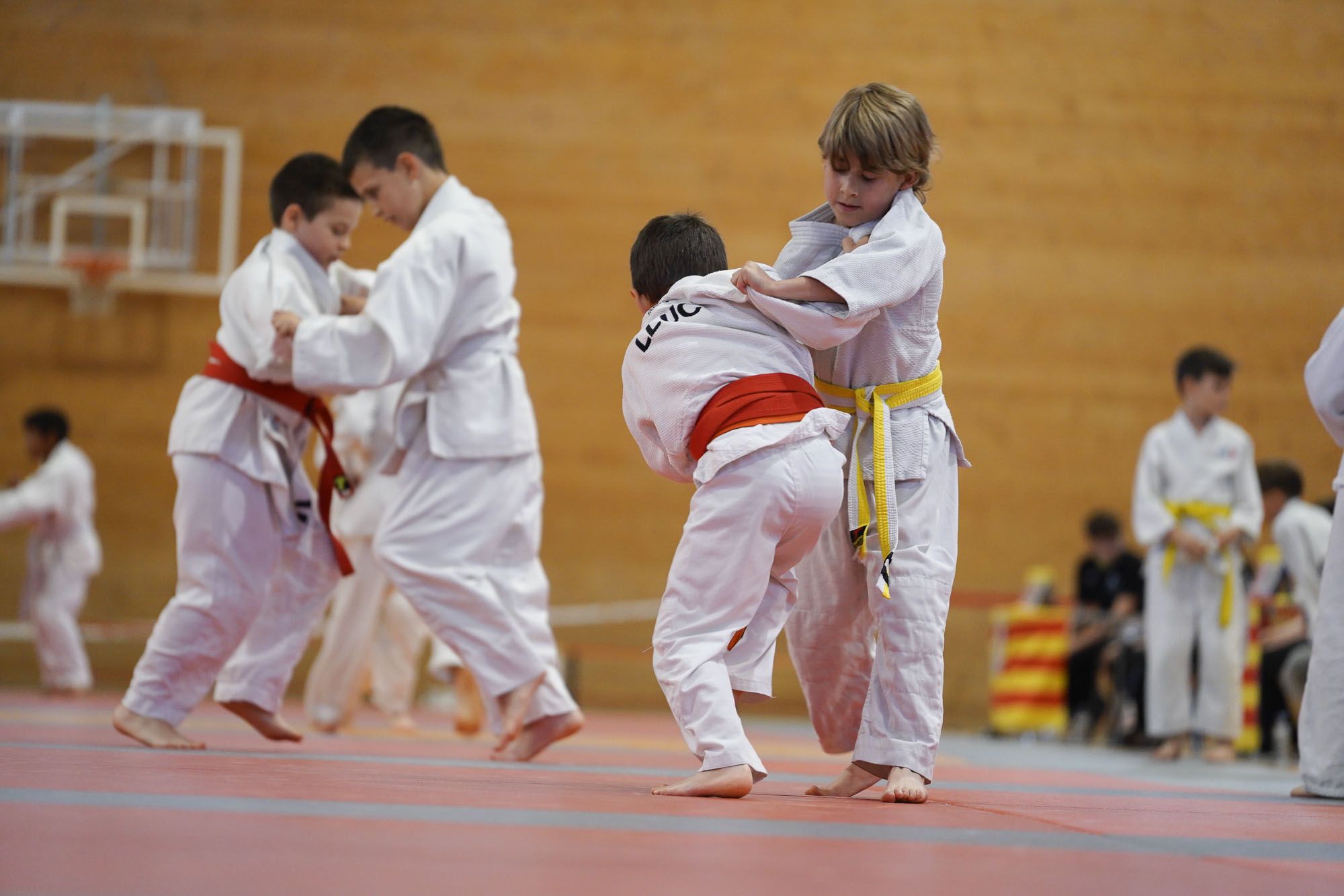 Les imatges del torneig infantil de judo de l'Escola 7