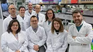 Un equipo dirigido por el monovero Silvestre Vicent realiza un gran descubrimiento contra el cáncer de páncreas