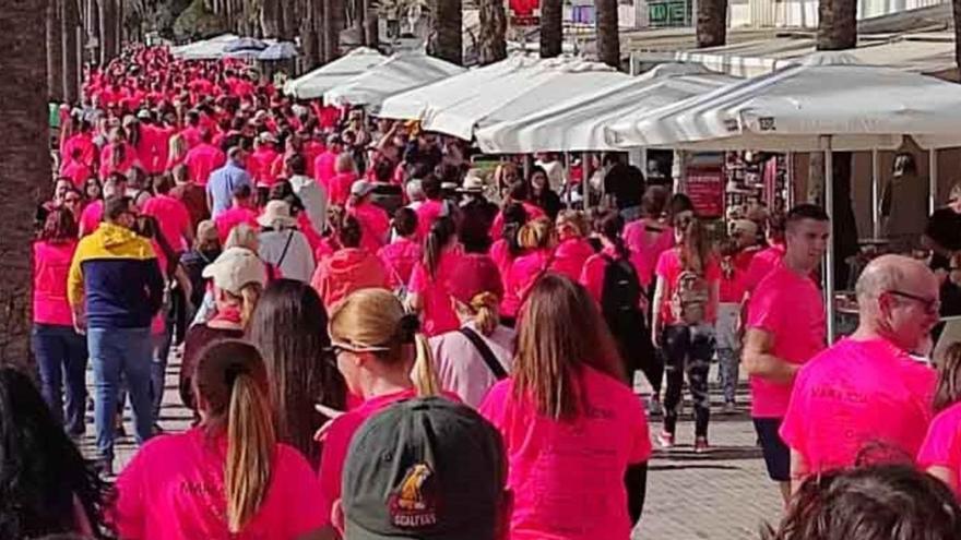 Integrantes de laMarea Rosa, en una delas ediciones pasadas.