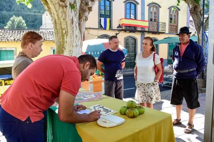 Fiesta de la manzana de Valleseco