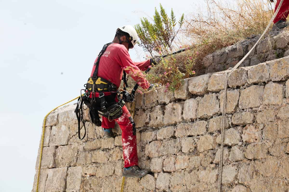 Arrancan los trabajos de limpieza de las murallas renacentistas de Ibiza