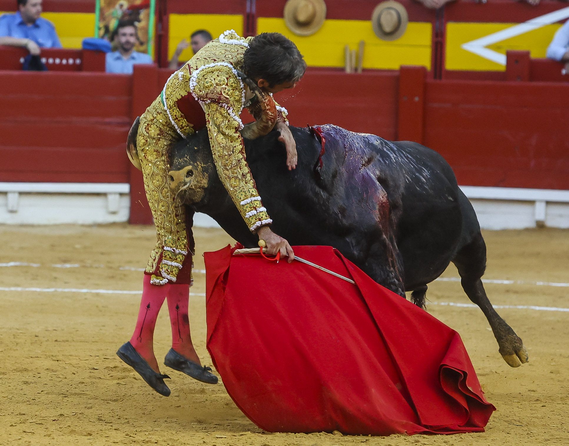 El gran José Tomás revoluciona la plaza de toros de Alicante