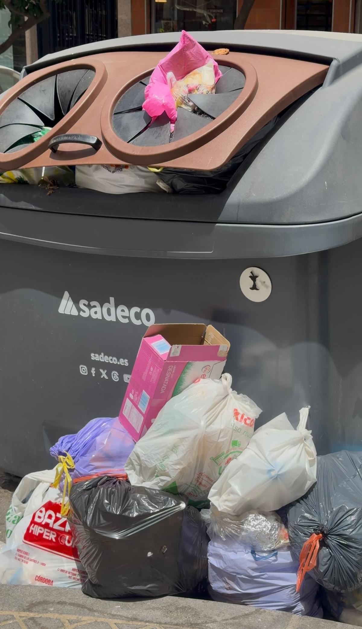 Imagen de un contenedor con bolsas de basura fuera.