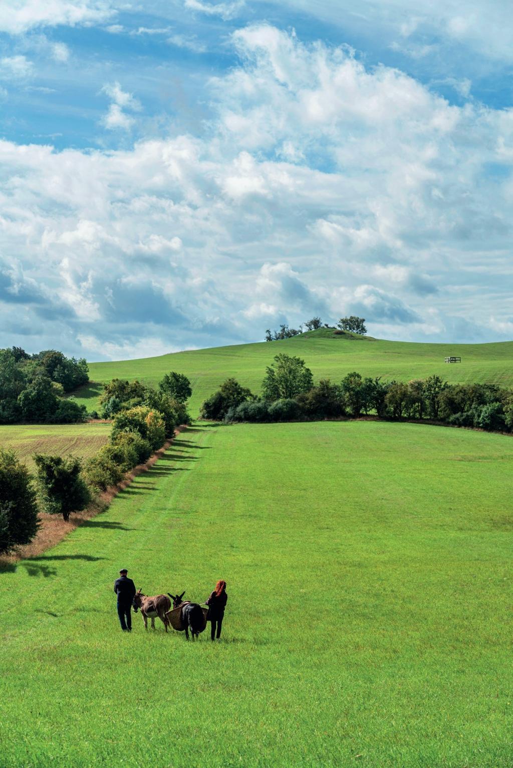 Ruta con burros en la granja Celine Aktiv Reisen