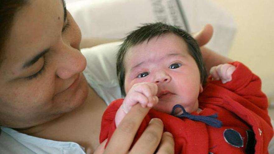 La tasa bruta de natalidad (nacimientos por 1.000 habitantes) se situó en 11,38, la más alta desde 1990 (10,33).