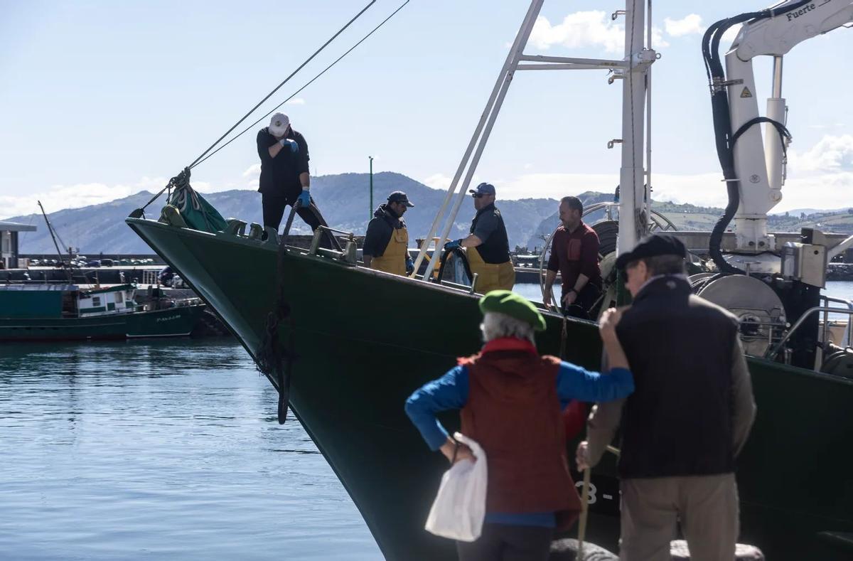 Un barco pesquero atraca en el puerto de Getaria (España) para descargar su cargamento de anchoa.