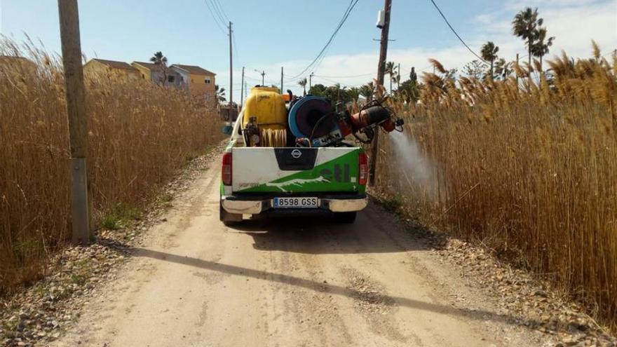 Cerco a los mosquitos en Benicàssim