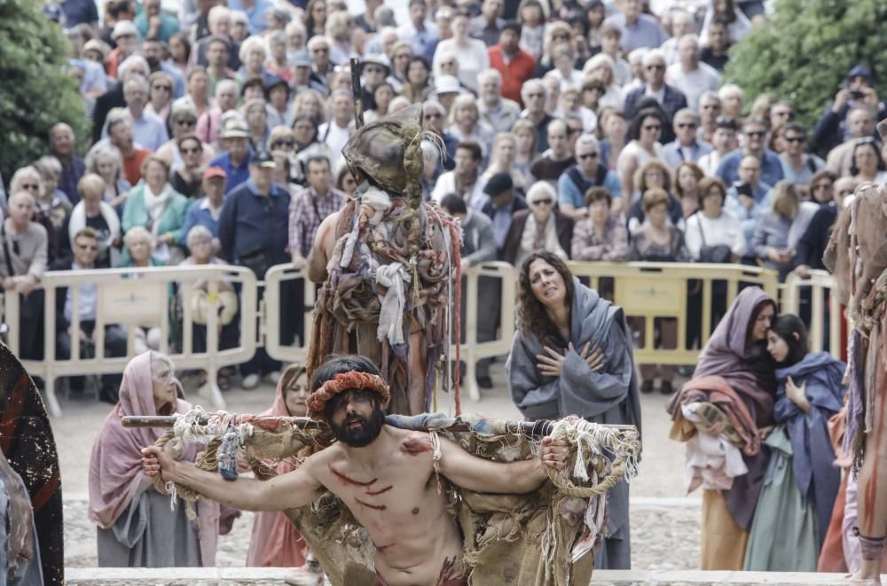 Vía Crucis en la Seu