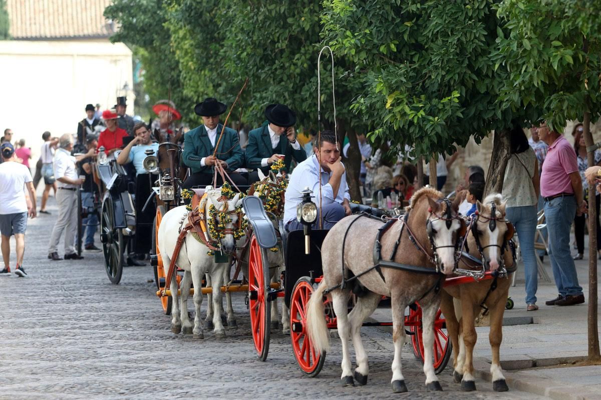 4º Concurso Internacional de Atalaje de Tradición en Cabalcor 2018