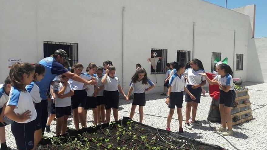 El colegio San Juan de Dios &quot;La Goleta&quot; celebra el Día del Medio Ambiente