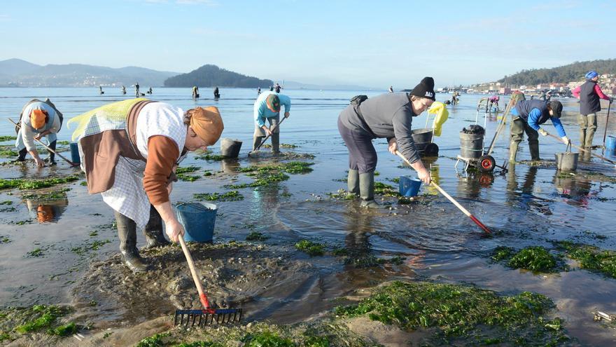 Las lluvias ponen en jaque al marisqueo que ya teme ampliar el cierre de la ría y pide “zona catastrófica”