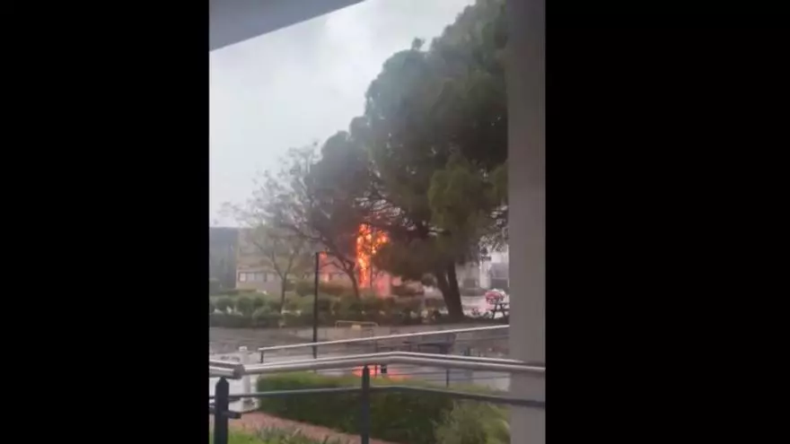 Incendio en el Parc Tecnològic de Paterna por un rayo