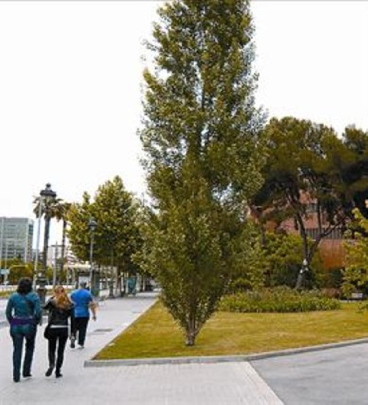 Passat franquista 8 La nova plaça enjardinada de la Diagonal.