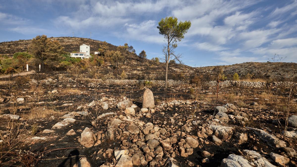 Unos terrenos quemados por el incendio de la Vall d&#039;Ebo, este jueves.