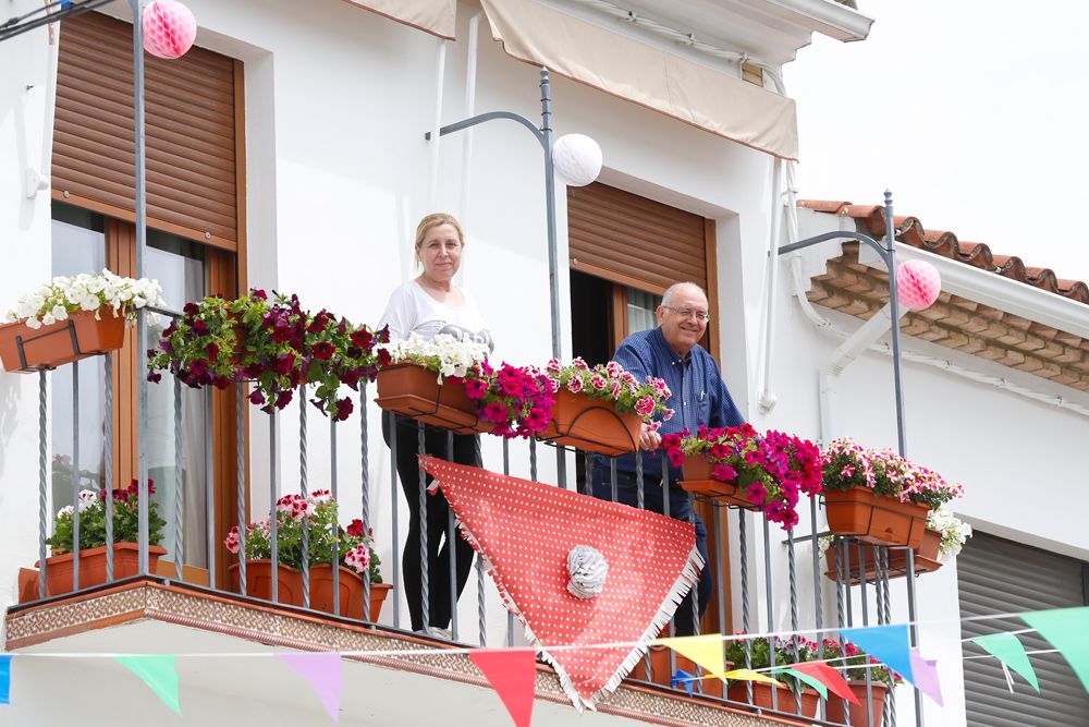 Calles en Flor