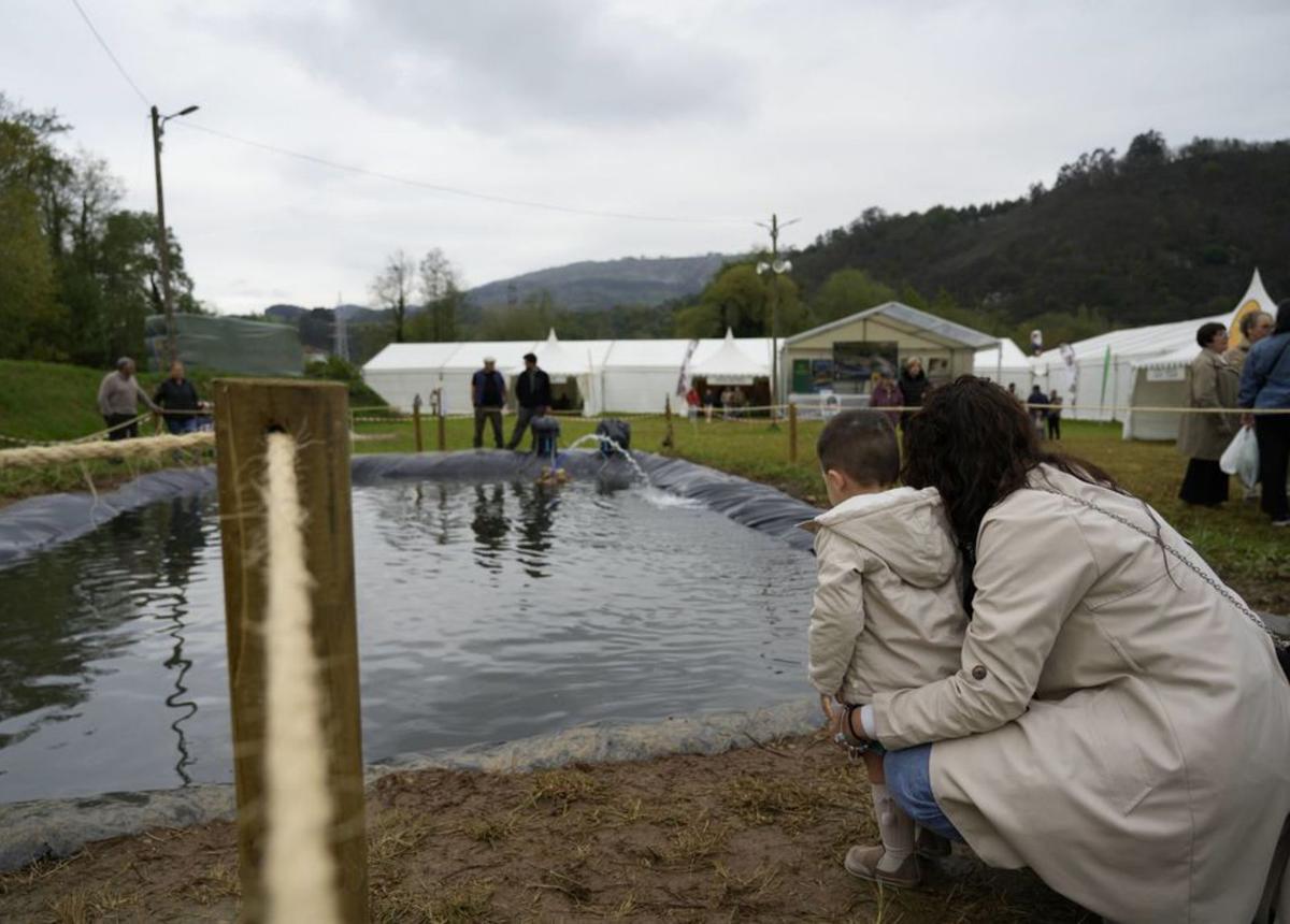Un niño y su madre, en una de las actividades de la Feria del Salmón. | MARIO CANTELI
