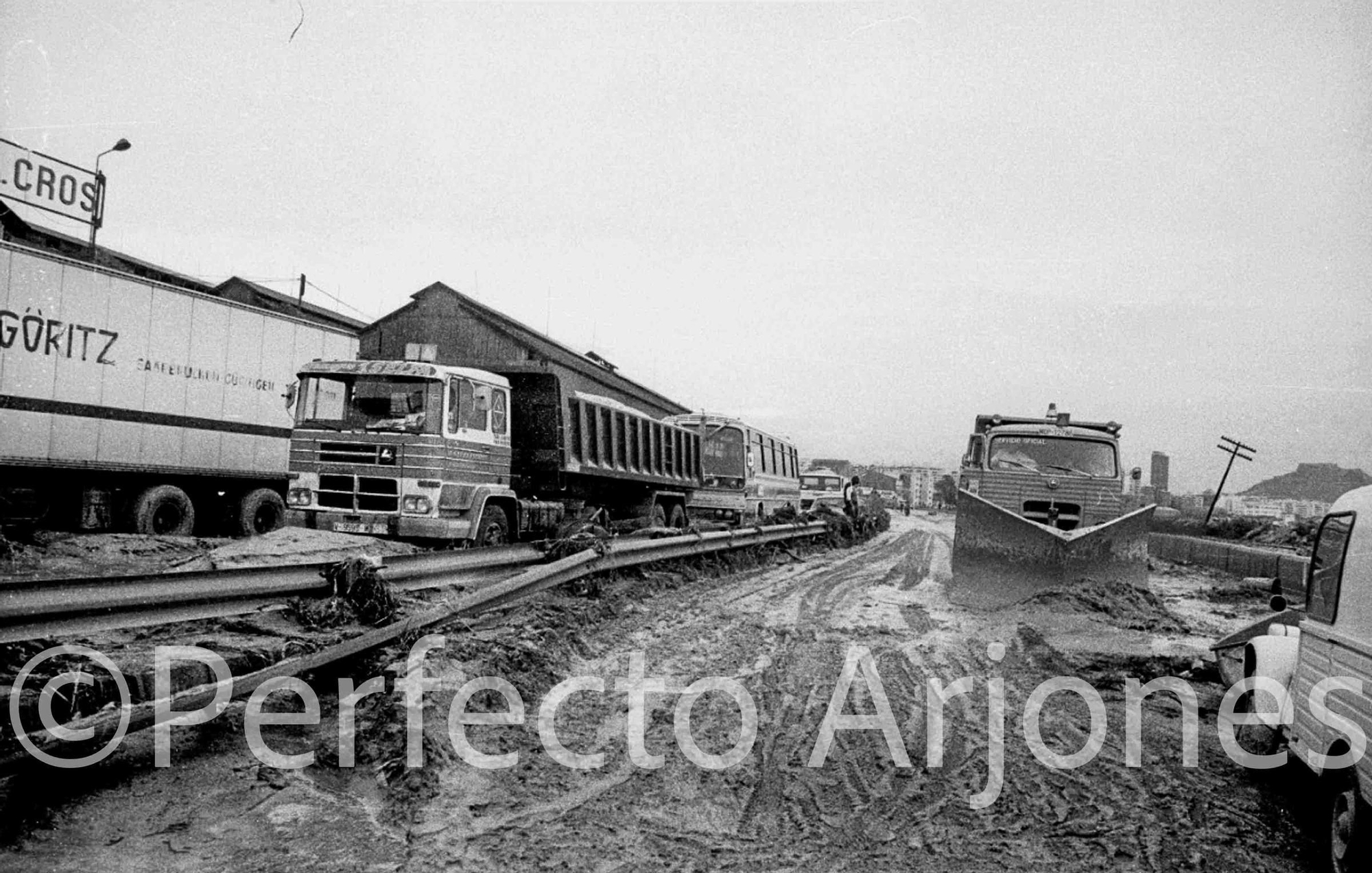 Riada de 1982: El día que Alicante se partió en dos