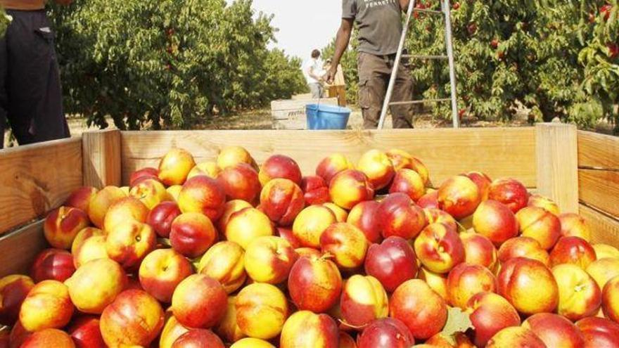 La exportación de productos agroalimentarios de Aragón crece un 12% desde enero
