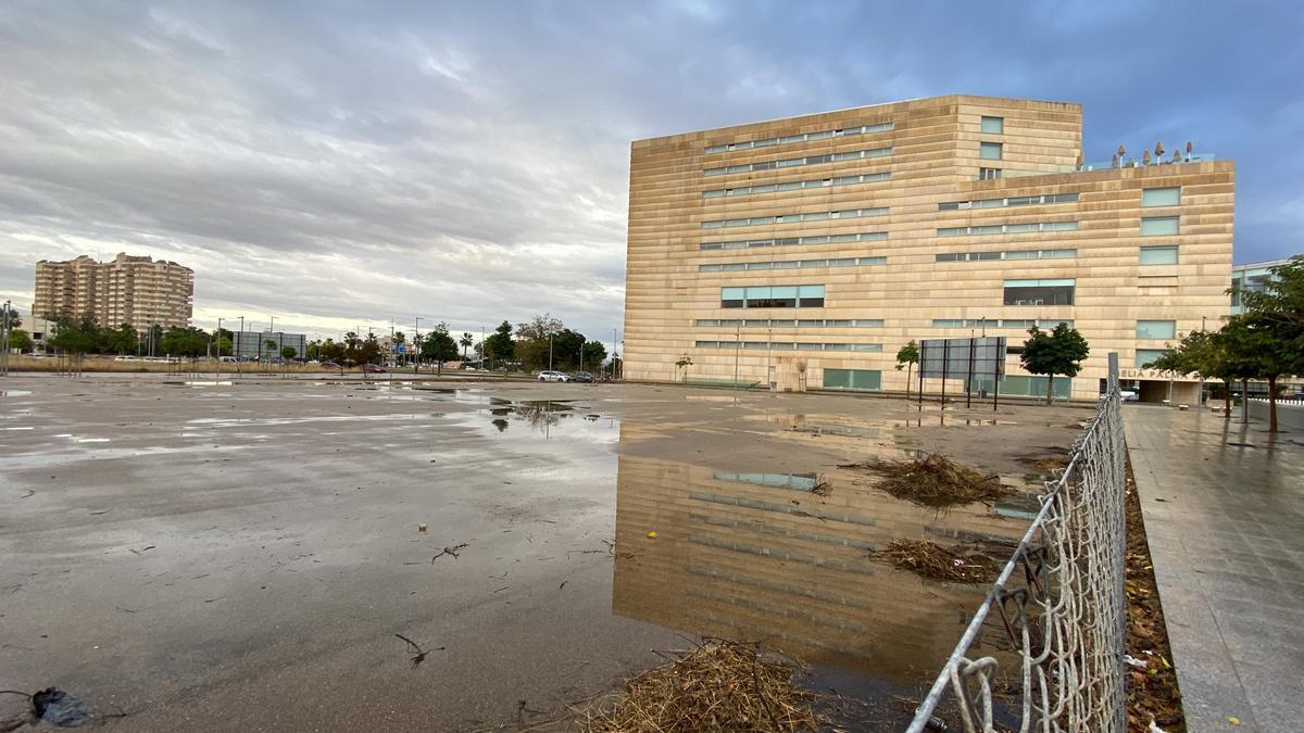 Un solar junta al Palacio de Congresos de Palma con lluvia acumulada