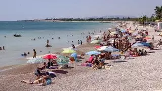 Bandera roja en la playa de las Cases d'Alcanar por la posible presencia de un tiburón