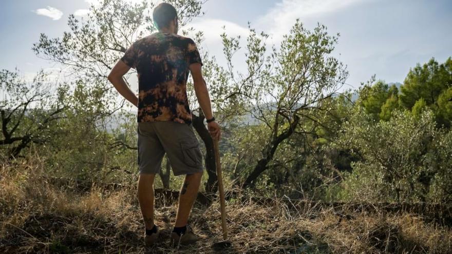 Bages i Anoia són les comarques de la demarcació amb més terres recuperables per a conreus