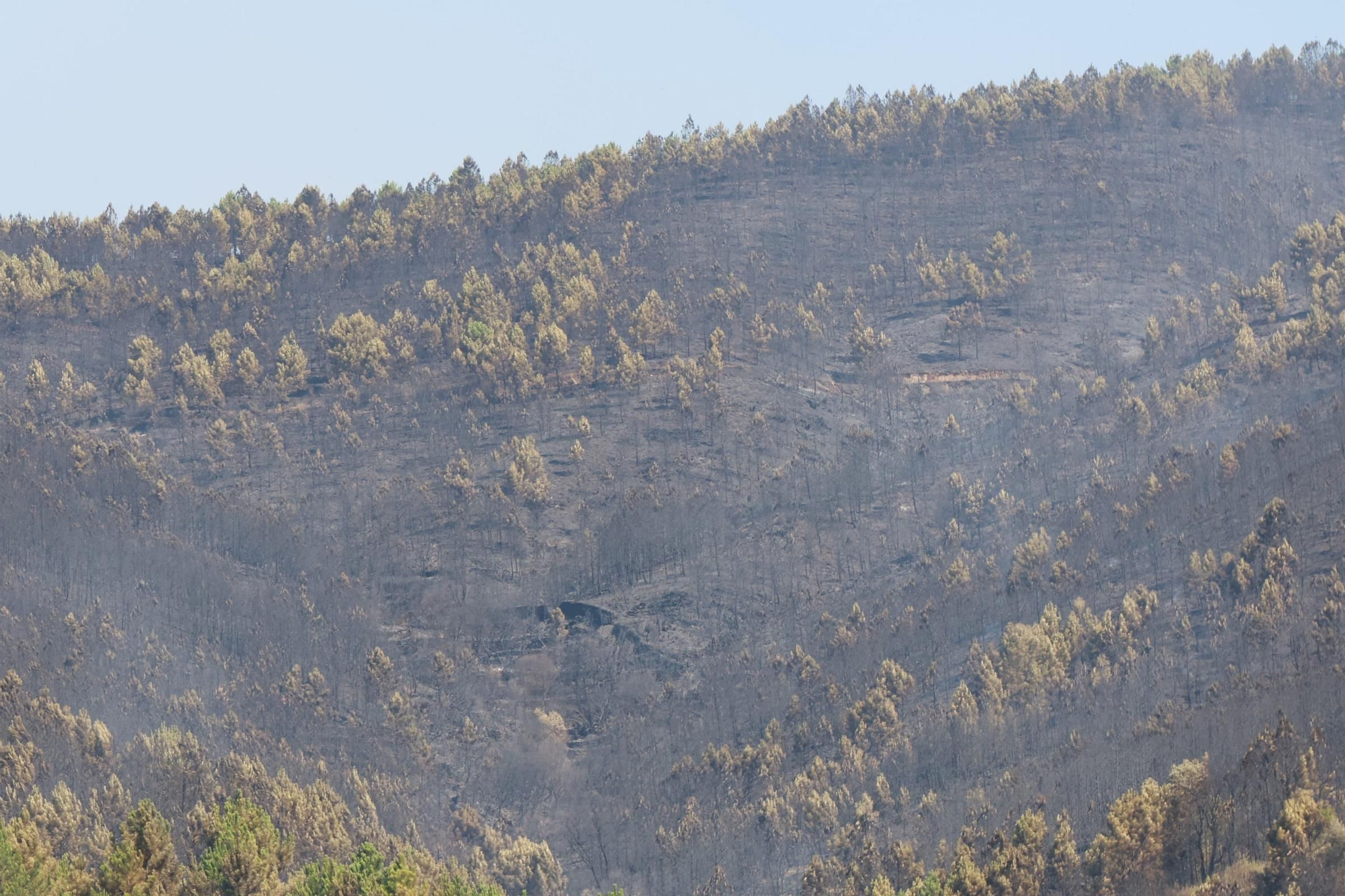 Fotogalería | Imágenes del incendio en Las Hurdes