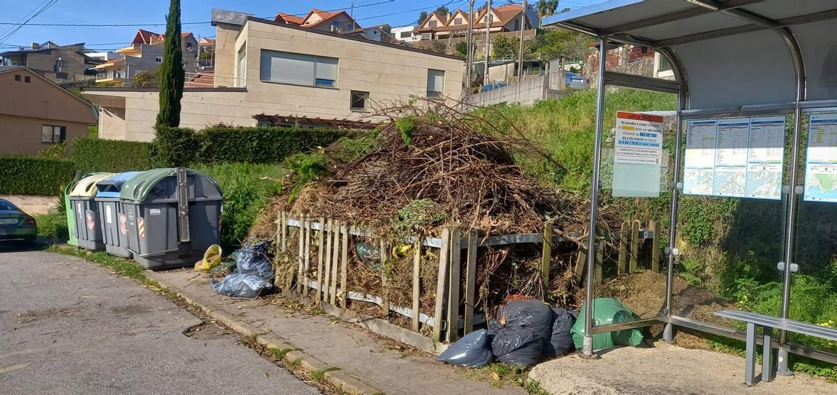 Contradictoria recogida de restos vegetales en Moaña.  | FDV