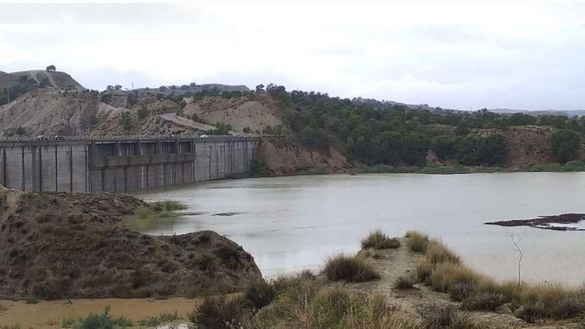 Embalse de los Rodeos (Rio Mula).