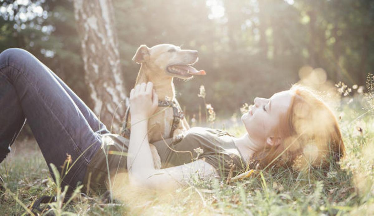 Perros como terapia contra las dolencias emocionales.