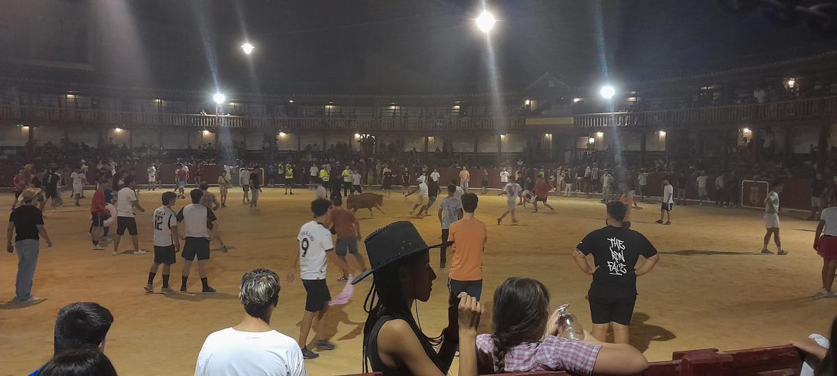 GALERÍA | La verbena taurina de las Fiestas de San Agustín de Toro, en imágenes GALERÍA | La verbena taurina de las Fiestas de San Agustín de Toro, en imágenes