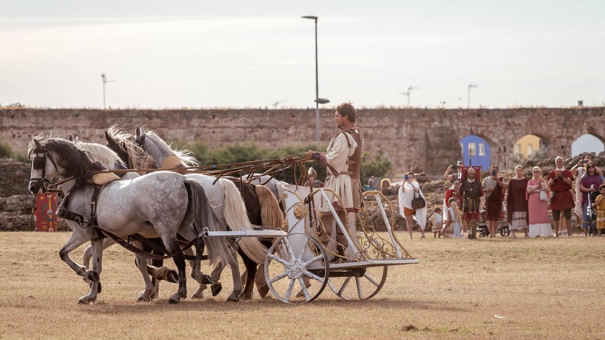 Las imágenes de las carreras de cuadrigas en Mérida