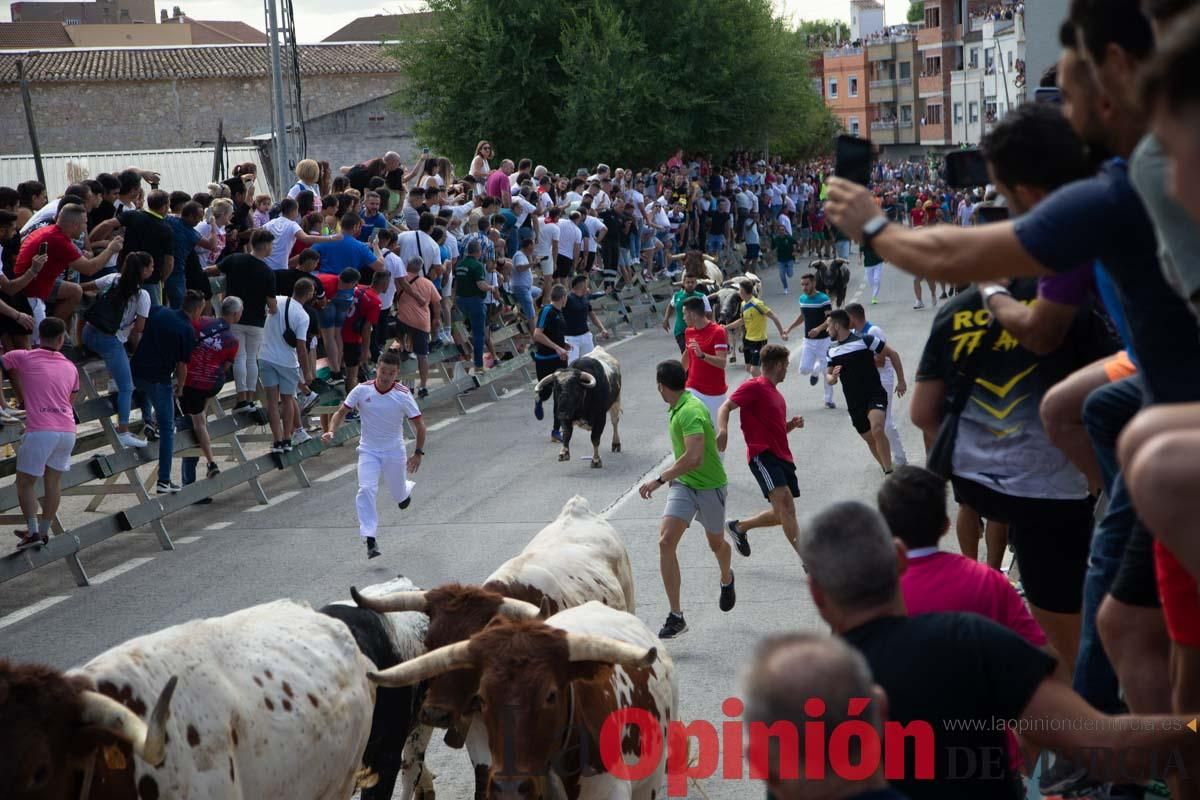 Primer encierro de la Feria del Arroz de Calasparra