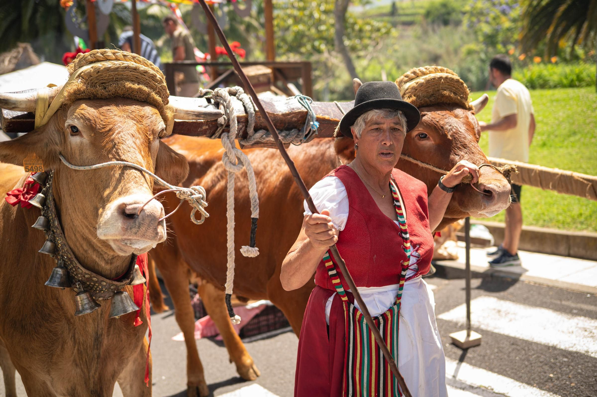 Romería de La Orotava