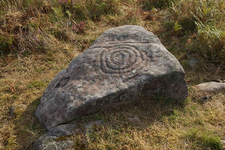 Petroglifos en Galicia: Arte sobre piedra en Campo Lameiro