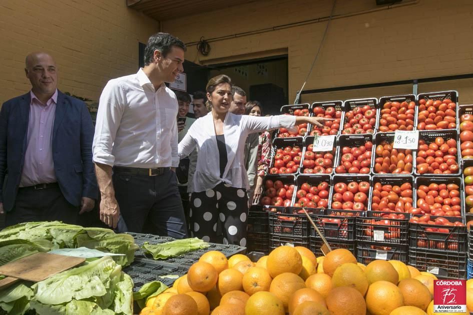 Fotogalería / Pedro Sánchez, en Córdoba