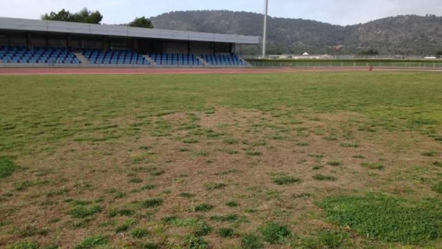 Imagen del césped del campo de fútbol de la pista de atletismo.