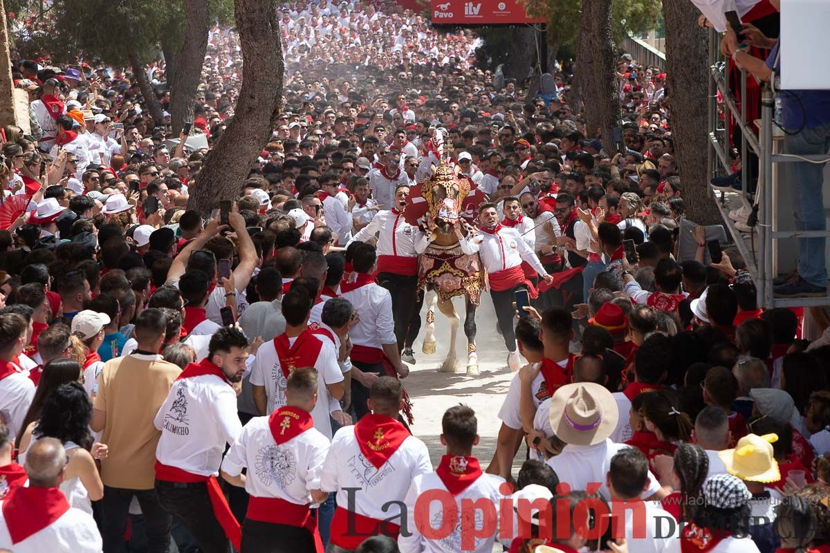 Así ha sido la carrera de los Caballos del Vino en Caravaca