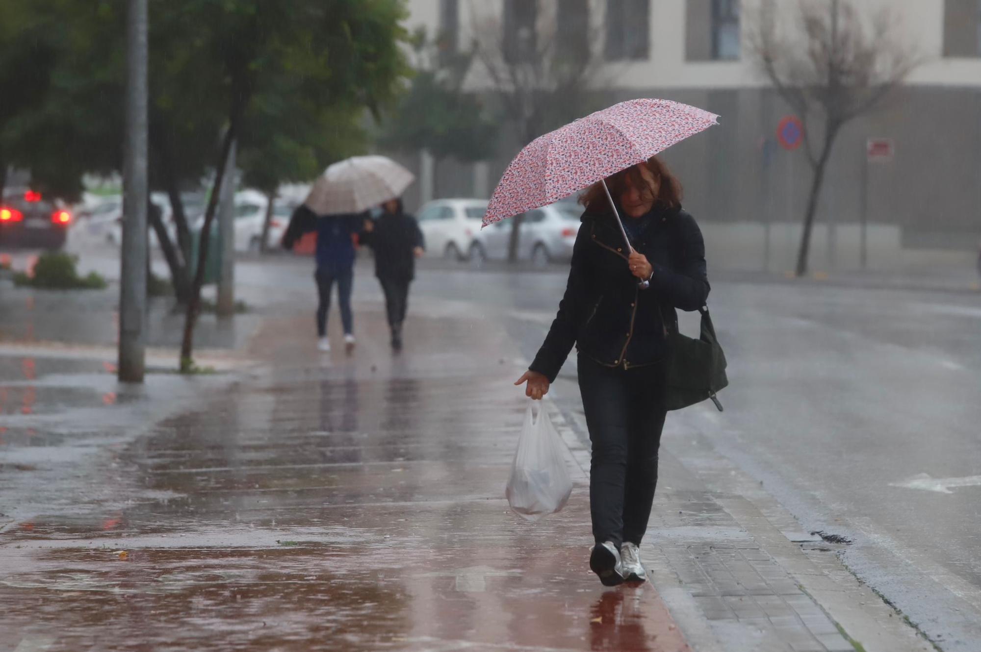 Caen en Córdoba más de 40 litros en doce horas