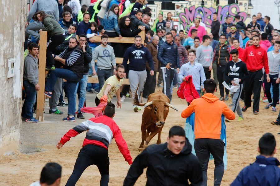 Encierros en Morales del Vino